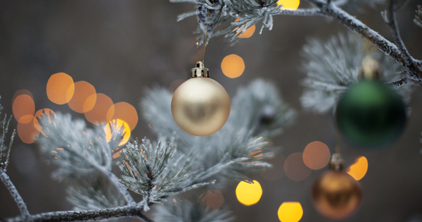 oma.pelastakaalapset.fi