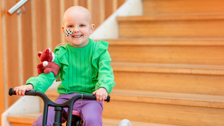 Doe-het-zelf winkels